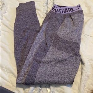 Gym shark